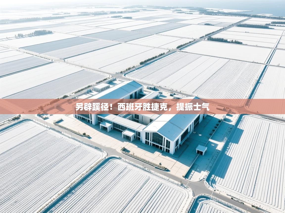 另辟蹊径！西班牙胜捷克，提振士气  第1张