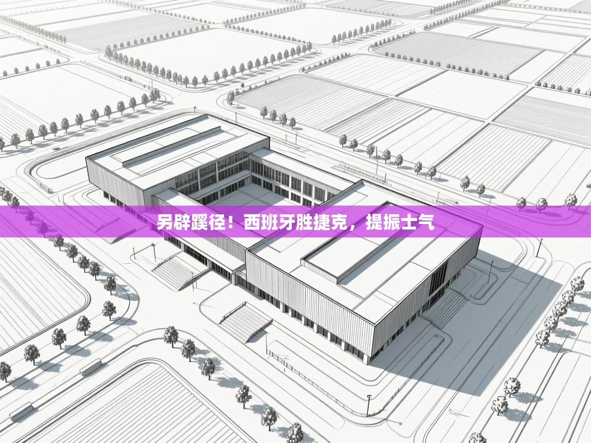 另辟蹊径！西班牙胜捷克，提振士气  第2张